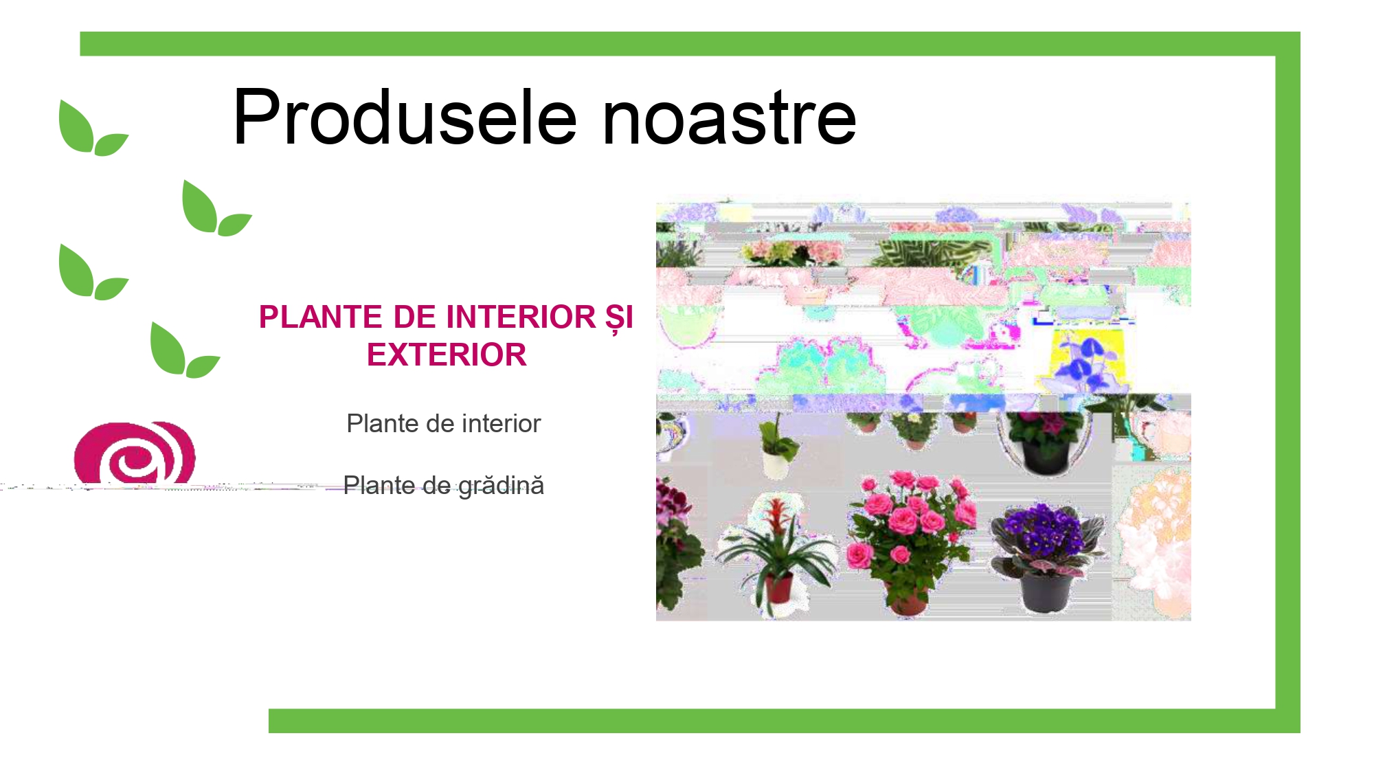 FE Floral Essence SRL - PPT_page-0011